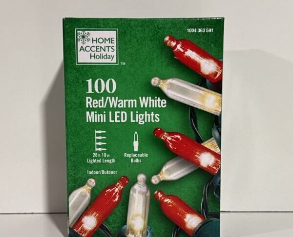 Home Accents 100 Light Red and Warm White Mini LED Lights