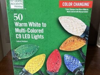 Home Accents 50 Multicolor Changing Lights C9