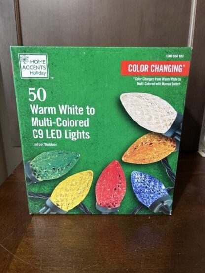 Home Accents 50 Multicolor Changing Lights C9