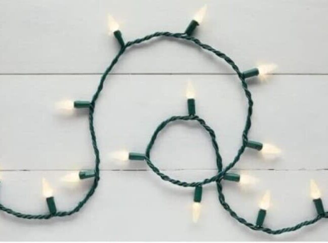 Home Accents 100L LED C6
