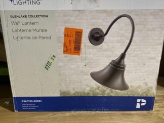 Progress Lighting Glenlake Wall Lantern