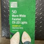 Home Accents 50 Warm White Faceted C9 LED Lights