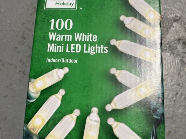 Home Accents 100 Warm White