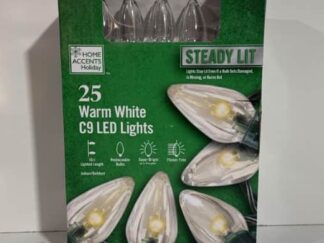 Home Accents 25 Warm White C9