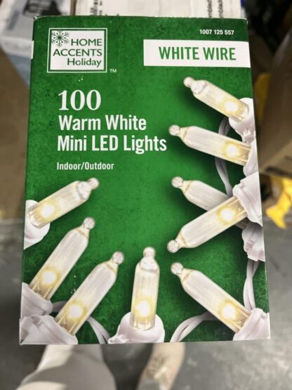 Home Accents 100 Warm White White Wire Mini LED Lights