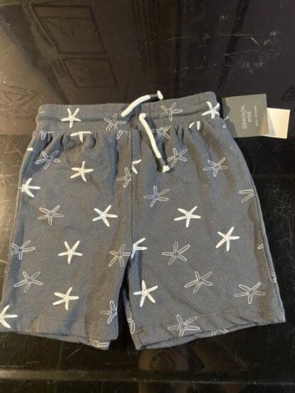 Starfish Gray Shorts Size 5T