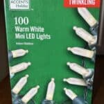 Home Accents 100 Warm White Twinkling Mini LED Lights