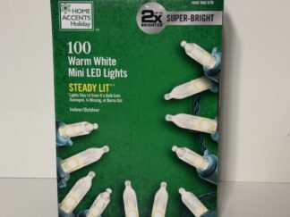 Home Accents 100 warm white Mini LED Lights