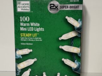 Home Accents 100 warm white Mini LED Lights