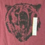 IMG 6754 Men's Goodfellow Grizzly Bear T-shirt Size Small