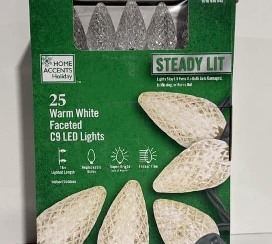 25 Warm White C9 Faceted LED Lights