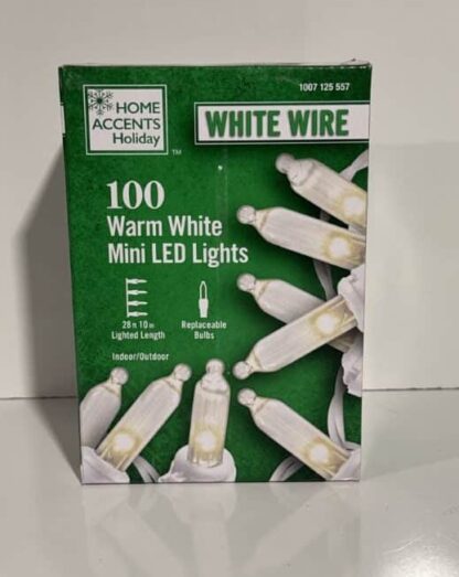 Home Accents 100 Warm White White Wire Mini LED Lights